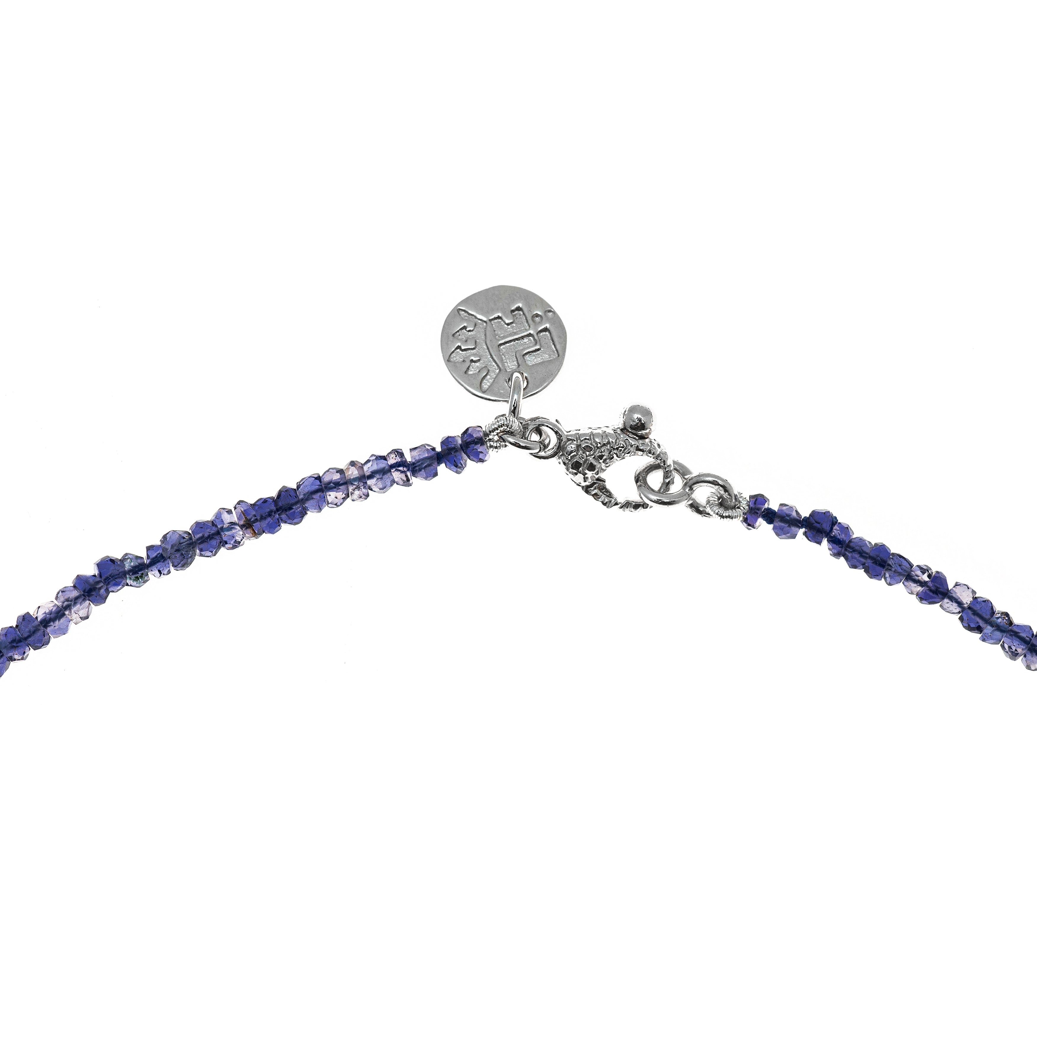 Artemis Talon Necklace with Pearl and Iolite